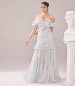 Grey net embroidery pearl sweetheart neck beryl gown