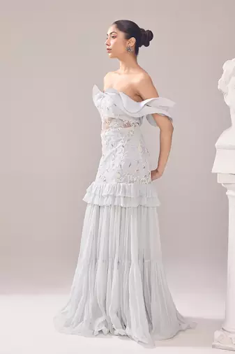 Grey net embroidery pearl sweetheart neck beryl gown