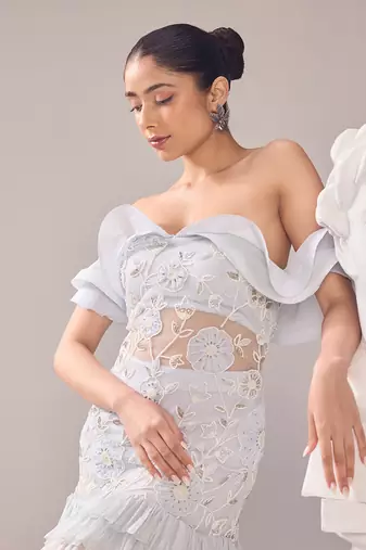 Grey net embroidery pearl sweetheart neck beryl gown