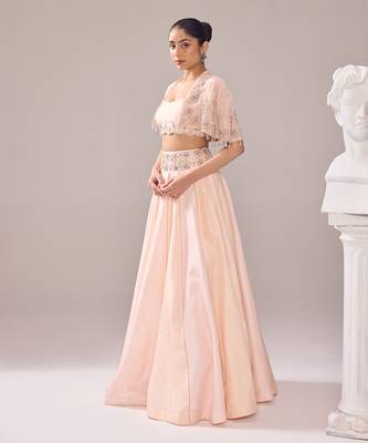 Tender Peach Hand Embroidery Organza Lehenga set 2