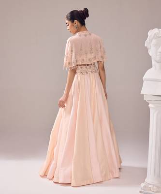 Tender Peach Hand Embroidery Organza Lehenga set 4