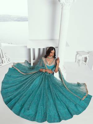 rama color embroidered net lehenga set choli with dupatta 2
