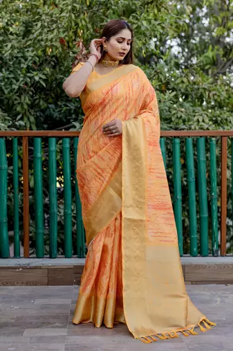 Orange dola silk blend Woven pallu border saree with digital print