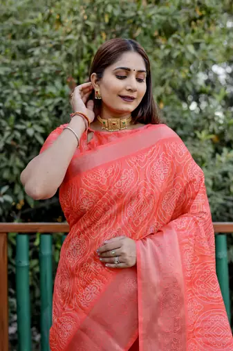 Red dola silk blend Woven pallu border saree with digital print