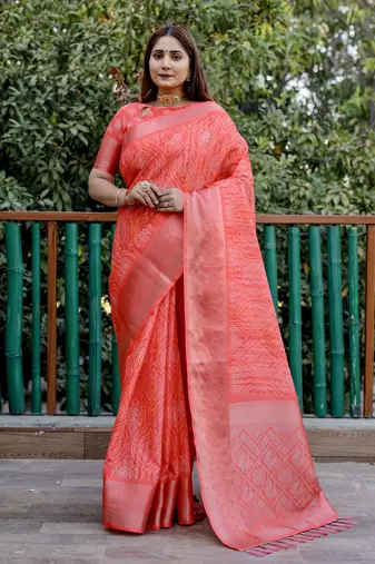 Red dola silk blend Woven pallu border saree with digital print