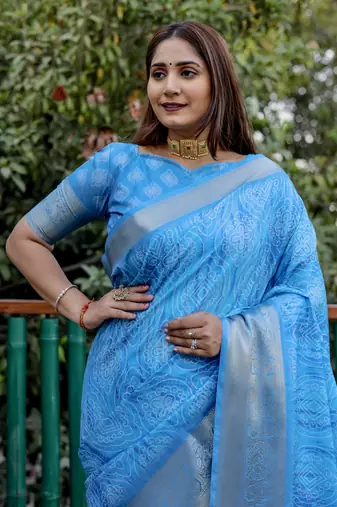 Blue dola silk blend Woven pallu border saree with digital print