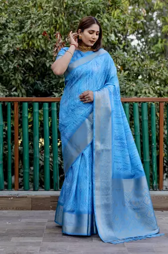 Blue dola silk blend Woven pallu border saree with digital print