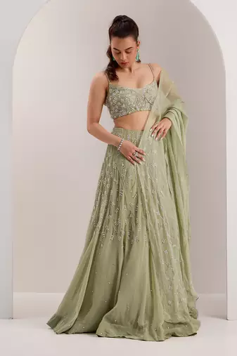 Green Organza Embellished Crystal Scoop Kaena Lehenga Set