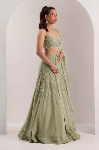 Green Organza Embellished Crystal Scoop Kaena Lehenga Set