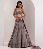 Grey Organza Embellished Crystal U-neck Zeya Snowflake Embroidered Lehenga Set