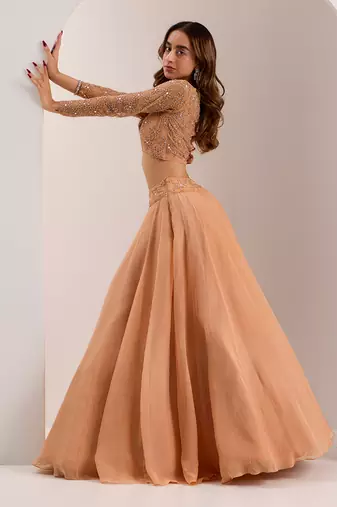 Rose Gold Soft Net Embellished Crystal Round Eira Bead Waist Lehenga Set