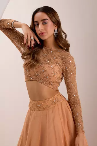 Rose Gold Soft Net Embellished Crystal Round Eira Bead Waist Lehenga Set