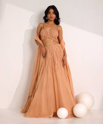 Rose Gold Organza Embellished Crystal Sweetheart Diora Lehenga Set 2