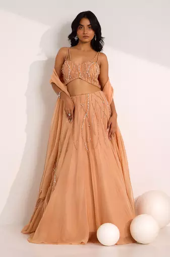 Rose Gold Organza Embellished Crystal Sweetheart Diora Lehenga Set