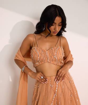 Rose Gold Organza Embellished Crystal Sweetheart Diora Lehenga Set 4