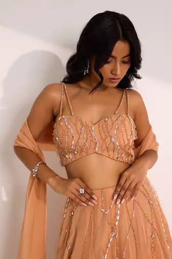 Rose Gold Organza Embellished Crystal Sweetheart Diora Lehenga Set