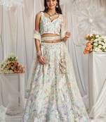 Cream Net Sequins embroidery Semi-Stitched Lehenga choli & Dupatta
