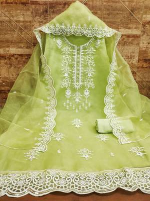 Manvaa women's light green sequnce work organza dress material 2