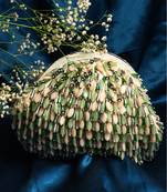 Serinity clutch mint maritime