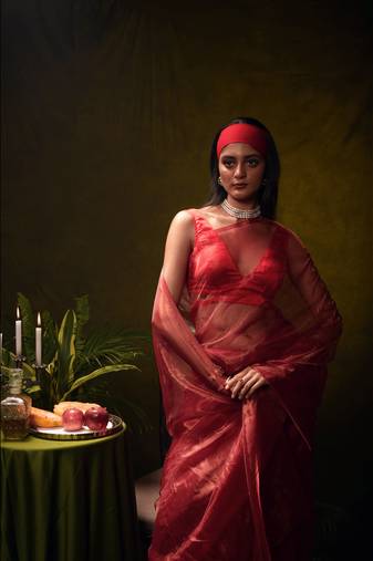 Huts and looms solid red organza tissue saree