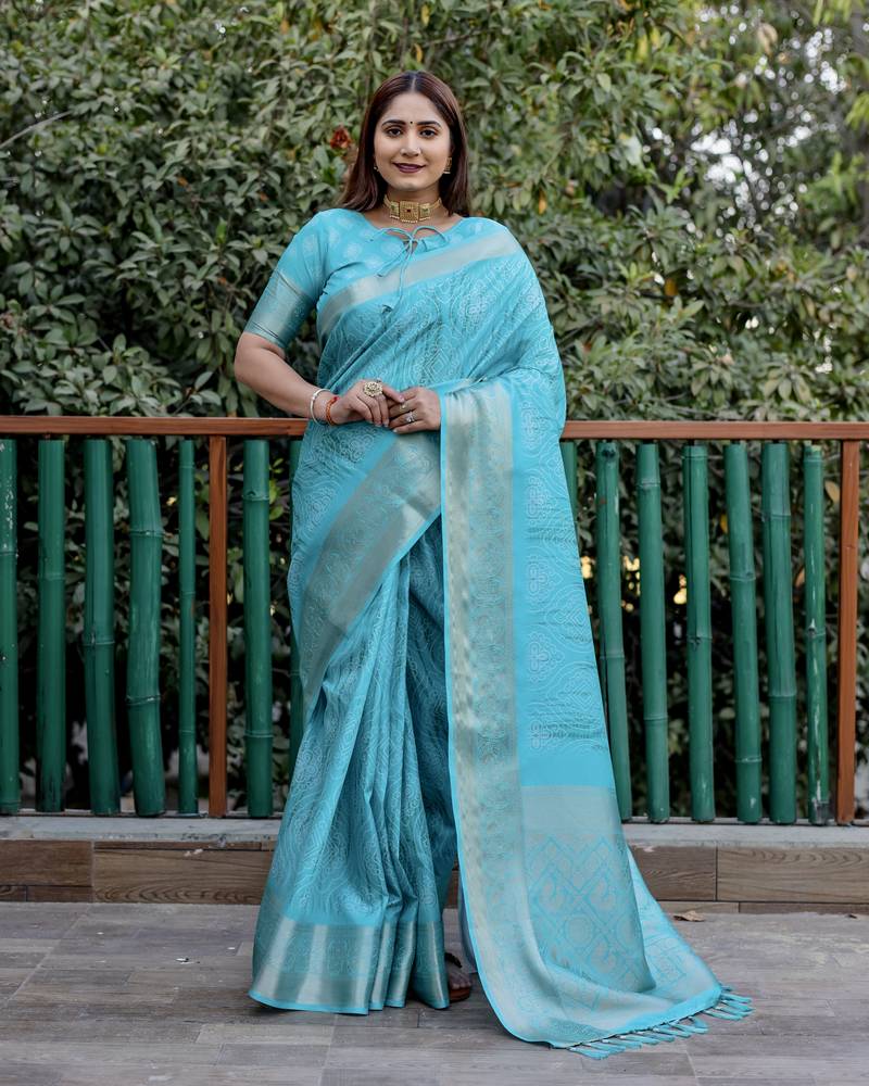Blue wevon pallu border designer,digital printed dola silk saree with blouse piece