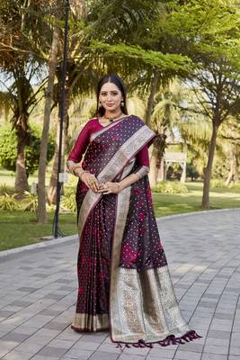 Royal Intensely Kanjivaram Satin Silk Saree 3