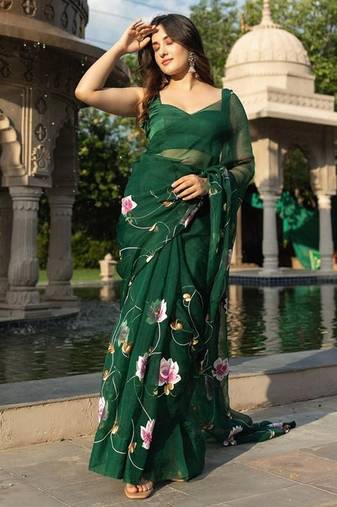 Green organza Hand painted Saree with Blouse