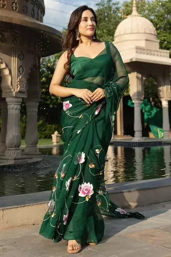 Green organza Hand painted Saree with Blouse