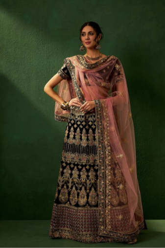 Multicolour Embroidered Lehenga choli with Blouse