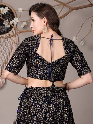 Ethnovog Ready To Wear Blue Embroidered Velvet Lehenga 4