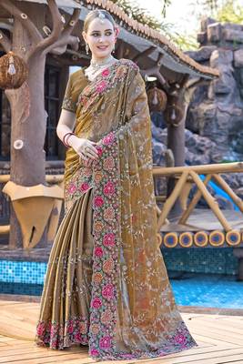 Siroski Resham Stone Embroidered Border Silk Saree In Brown With Matching Blouse Piece 1