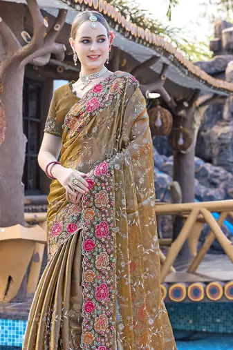 Siroski Resham Stone Embroidered Border Silk Saree In Brown With Matching Blouse Piece