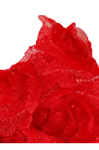 Akinoskids Mesh Yarn Red Baby Bow Flower Elastic Newborn Soft Headband