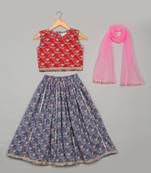 Saka Designs Girls Floral Printed Lehenga Choli With Dupatta - Grey & Pink