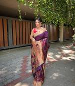 Banarasi Paithani silk blend With Patola Border Saree&Blouse