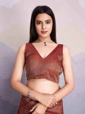 Brown Net Twill Shimmer Swarovski Work Saree With Unstitched Blouse Piece 5