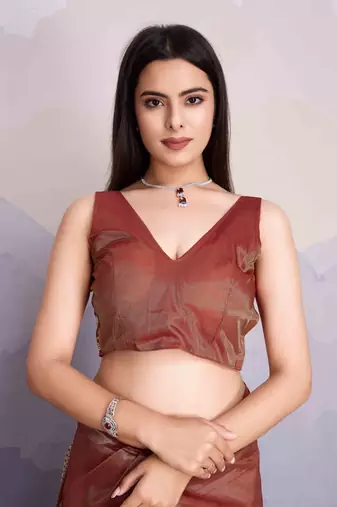 Brown Net Twill Shimmer Swarovski Work Saree With Unstitched Blouse Piece