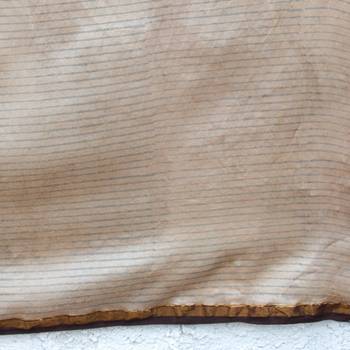 Digital Print Muslin Chanderi Saree Luxurious Muslin Chanderi Saree with Intricate Design 5