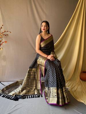 Beautiful Soft Silk Saree Is Having Checks Silver And Gold Zari Saree 1