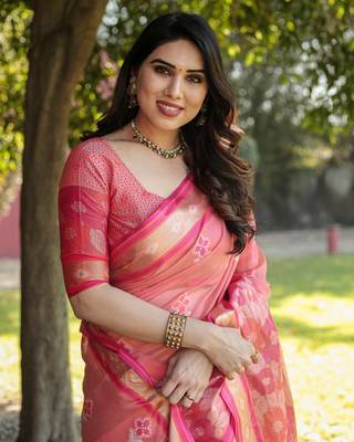 Organza Ikkat Weave Sarees  1