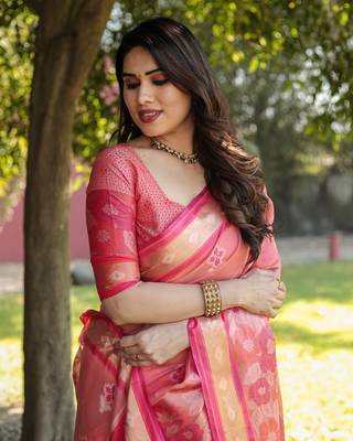 Organza Ikkat Weave Sarees  5