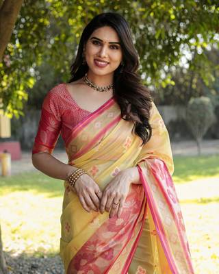 Organza Ikkat Weave Sarees  1