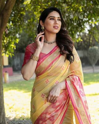 Organza Ikkat Weave Sarees  6