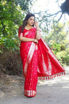 Kanjivaram Soft Satin Silk Saree 3
