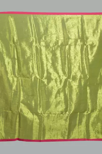 Aakar green handloom tissue saree with unstitched blouse piece