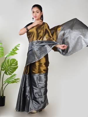 Aakar gold & silver handloom tissue saree with unstitched blouse piece 2