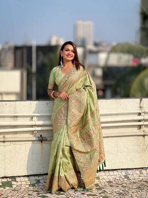 Graceful and ethnic pista wevon kashmiri meenakari trendy partywear saree 1