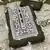 Olive green organza all-over white thread embroidery unstitched kurta pant dupatta set dress material