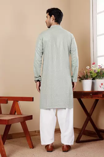 Light pastel green viscose chikankari work kurta