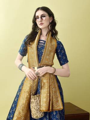 Morpich Woven Silk Lehenga Choli With Dupatta 3